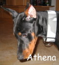 Athena