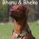 Bhanu & Bheko