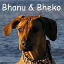 Bhanu & Bheko