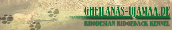 http://www.gheilanas-ujamaa.de/