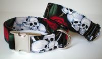 Hundehalsband 