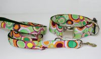 Hundehalsband Retro green