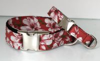 Hundehalsband  