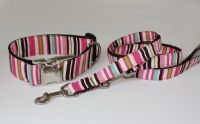 Halsband 