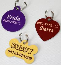 Dog-Tags mit Namen und Telefonnummer