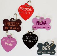 Dog-Tags mit Namen und Telefonnummer