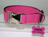 Dog-Tags mit Namen und Telefonnummer
