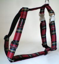 Brustgeschirr Tartan - Schottenkaro