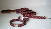 Welpenhalsband 