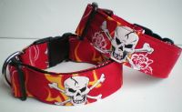 Hundehalsband 