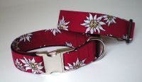 Hundehalsband 