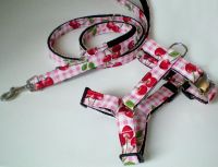 Welpen - Brustgeschirr Cherry Lady