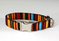 Welpen-Halsband Sunset