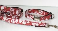 Halsband f�r Welpen  