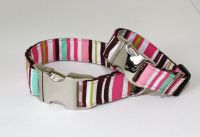 Halsband f�r Welpen 