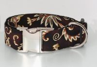 Hundehalsband  