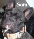 Sam