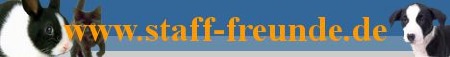 www.staff-freunde.de