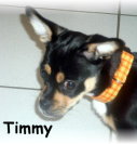 Timmy