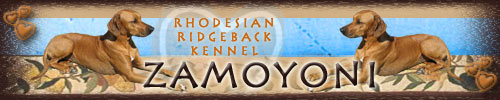 Zamoyoni